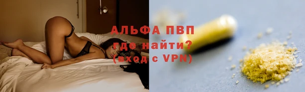 СК Абинск