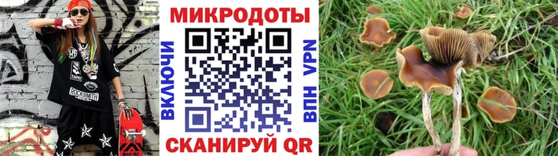 kraken ТОР  Добрянка  Галлюциногенные грибы MAGIC MUSHROOMS 