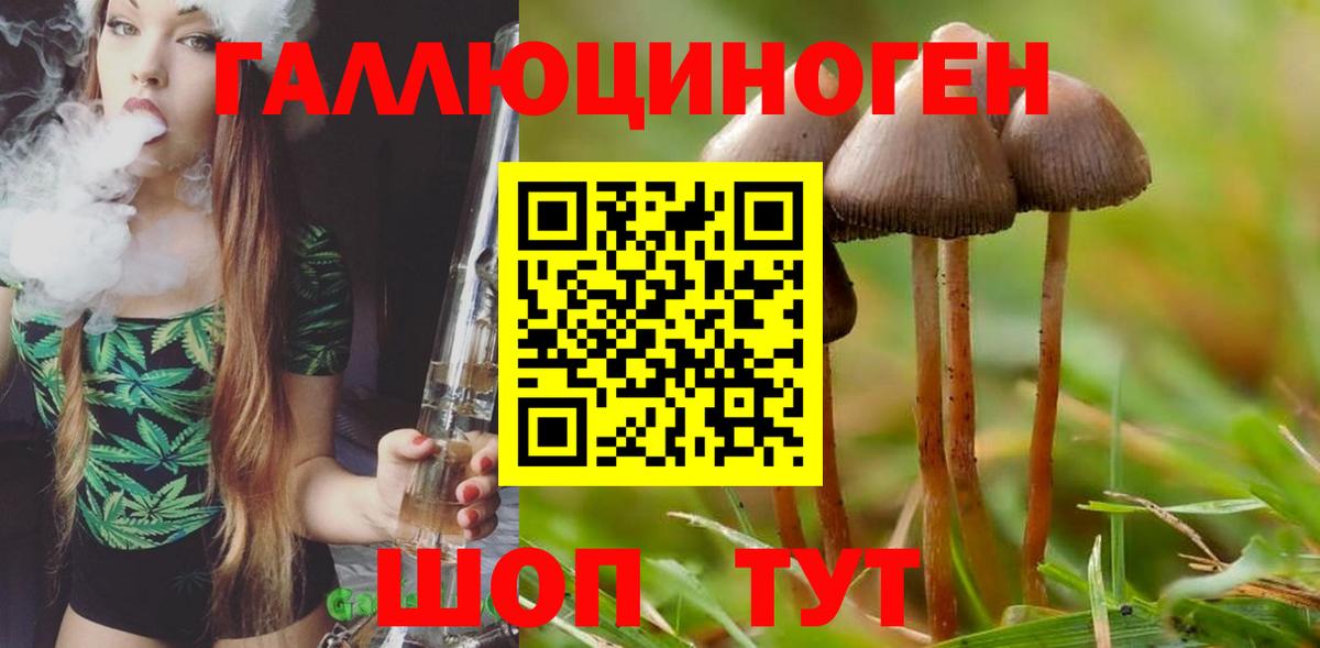 Галлюциногенные грибы GOLDEN TEACHER Добрянка